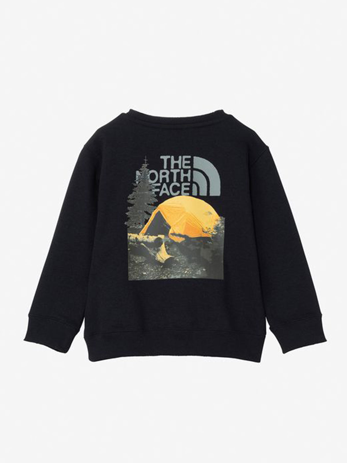 [促销][THE NORTH FACE] 山地羽绒服 The North Face 男女通用 户外羽绒服 秋冬 连帽 日本正品 / 24FW ND92454