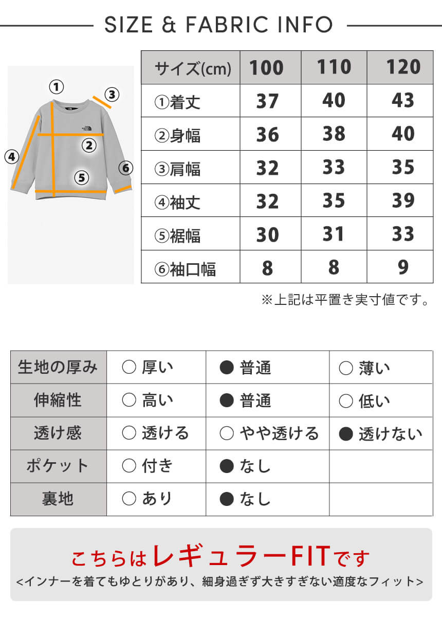 [促销][THE NORTH FACE] 山地羽绒服 The North Face 男女通用 户外羽绒服 秋冬 连帽 日本正品 / 24FW ND92454