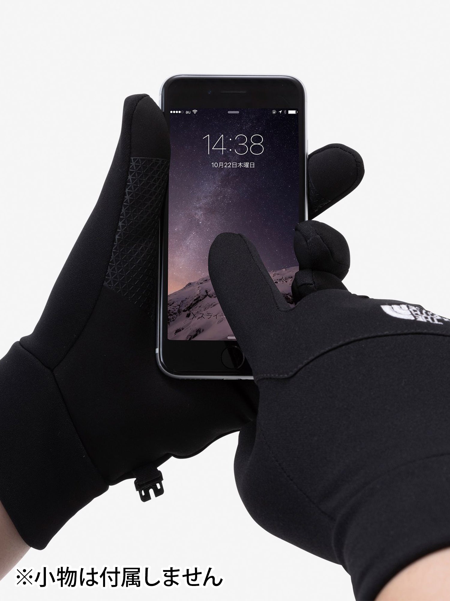 THE NORTH FACE] イーチップ グローブ 手袋 / ザ・ノース・フェイス